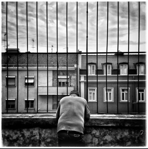 infoTRAUMA #39<span id="edit_44154"><script>$(function() { $('#edit_44154').load( "/myces/user/editobj.php?tipo=destaque&id=44154" ); });</script></span>