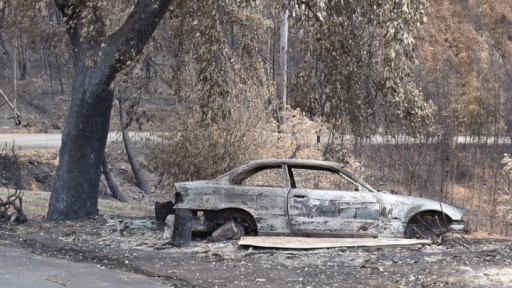 Observatórios e Programa de Doutoramento do CES estudam problemáticas dos incêndios em Portugal