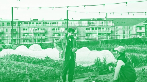 Green Stories, European Voices